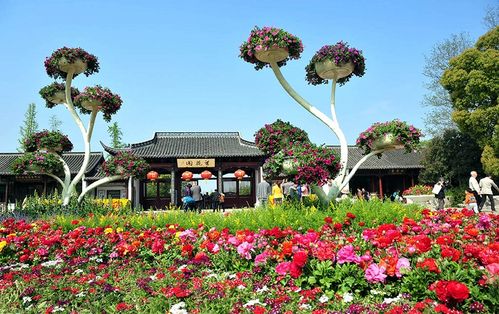 扬州市春季赏花去哪里 推荐扬州市春季赏花景点