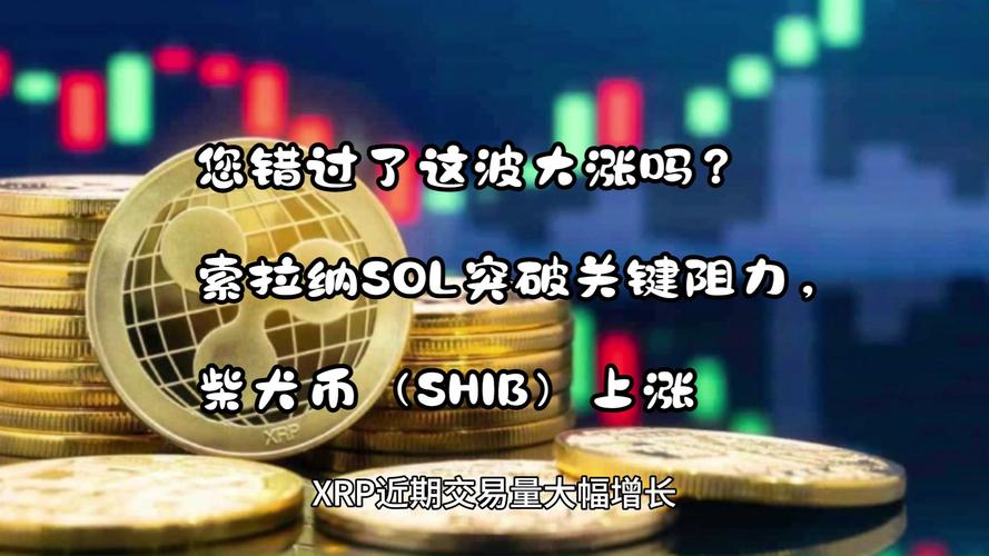 索拉纳在6天内上涨27%——SOL接下来会下跌160美元吗？